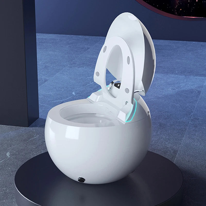 Le WC Japonais